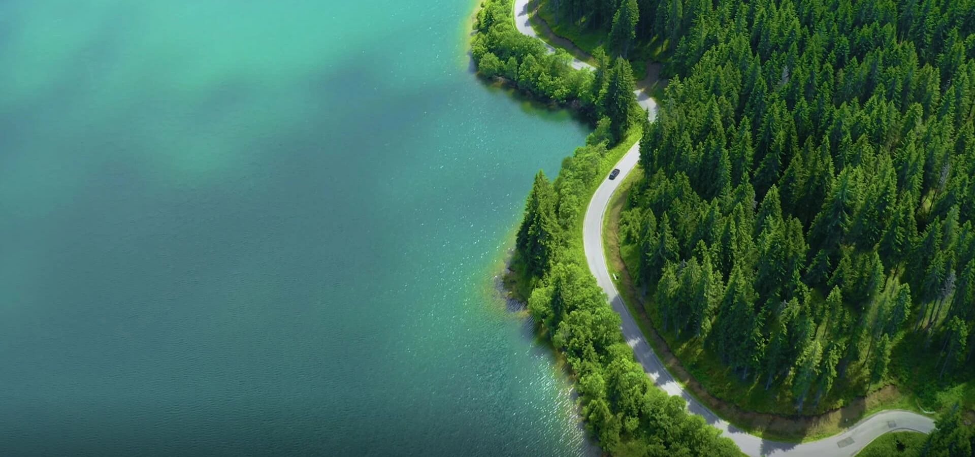 Polykemi sünteetiline kummitootja