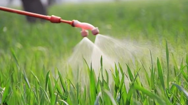 Pestitsiidid ja väetised